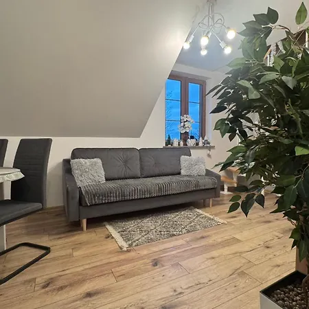 Apartament Trzy Swierki - W Objeciu Natury, Obok Glownego Deptaka - By Spaceapart Карпач Екстер'єр фото